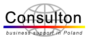 logo consulton